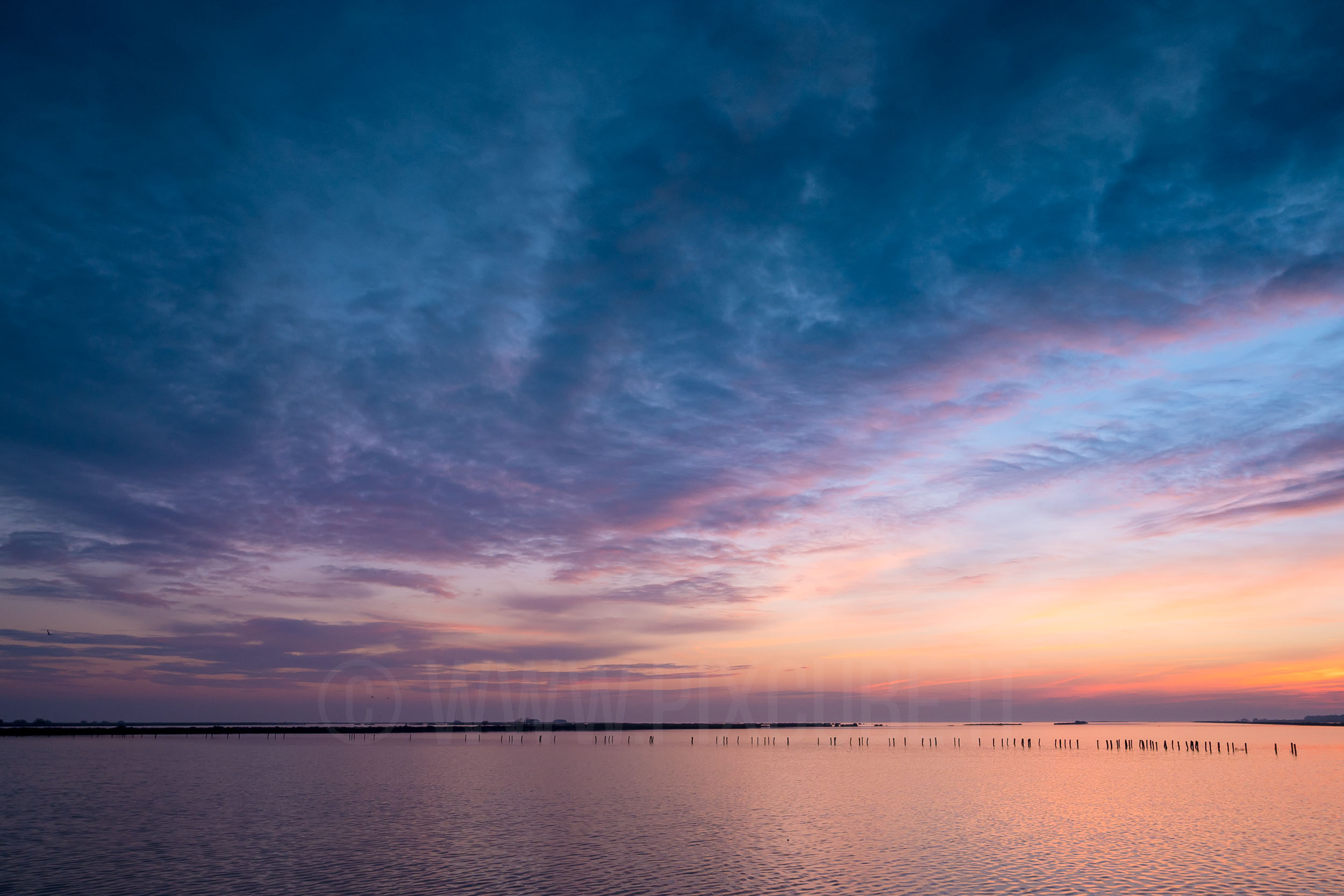 Corsi di fotografia attivi