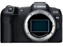Mirrorless