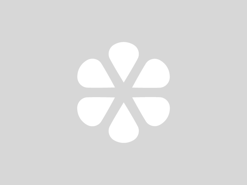 BINOCOLO PANORAMICO 20X100 NO COIN